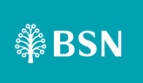 BSN Official Logo